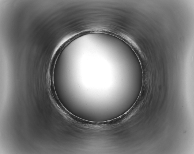 X0000086910936200704301034