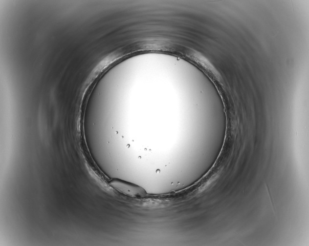 X0000086910938200704301034