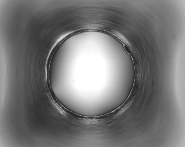 X0000086910940200704301034