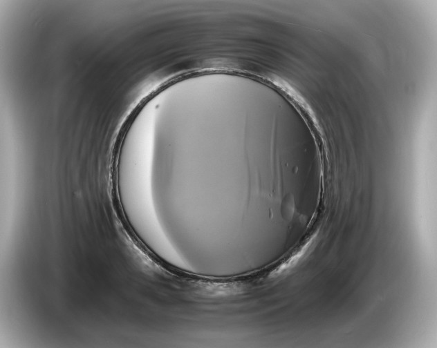 X0000086910941200704301034