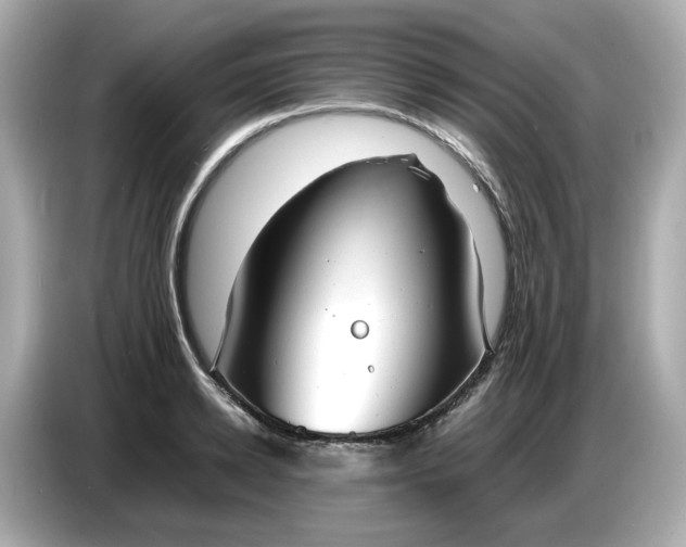 X0000086910942200704301034