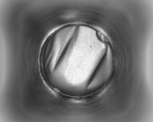 X0000086910943200704301034