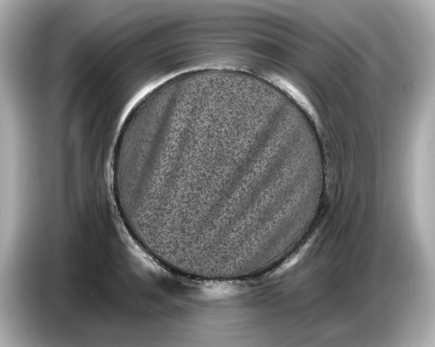 X0000086910944200704301034