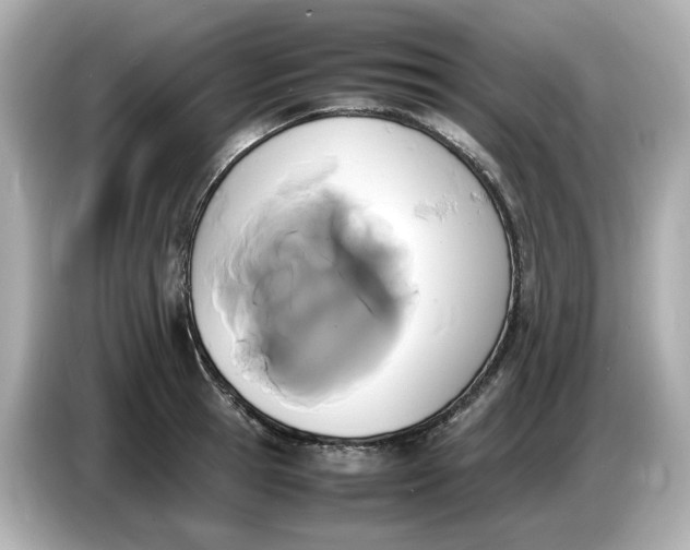 X0000086910945200704301034