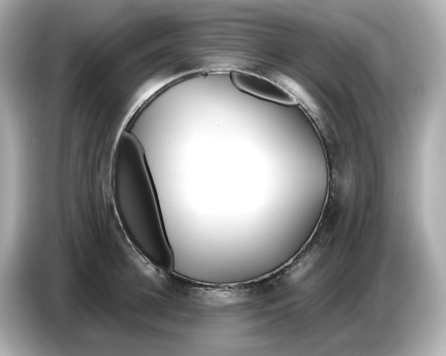 X0000086910948200704301034