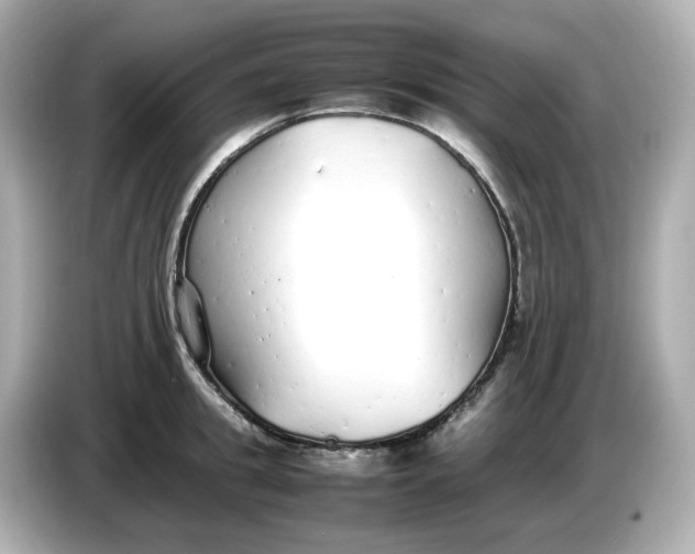 X0000086910949200704301034