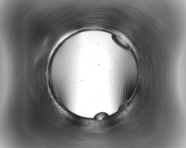 X0000086910951200704301034