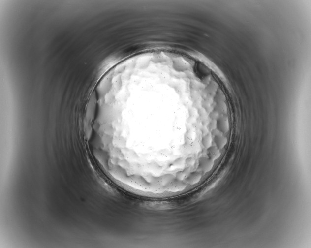 X0000086910953200704301034