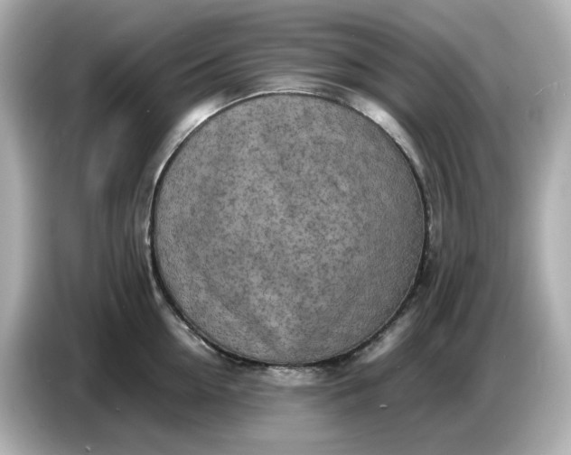 X0000086910954200704301034