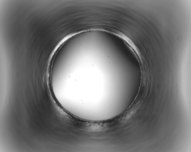 X0000086910955200704301034