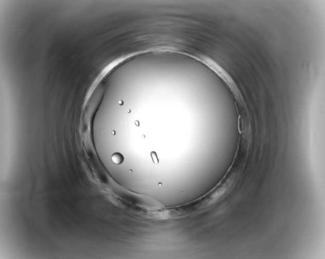 X0000086910956200704301034