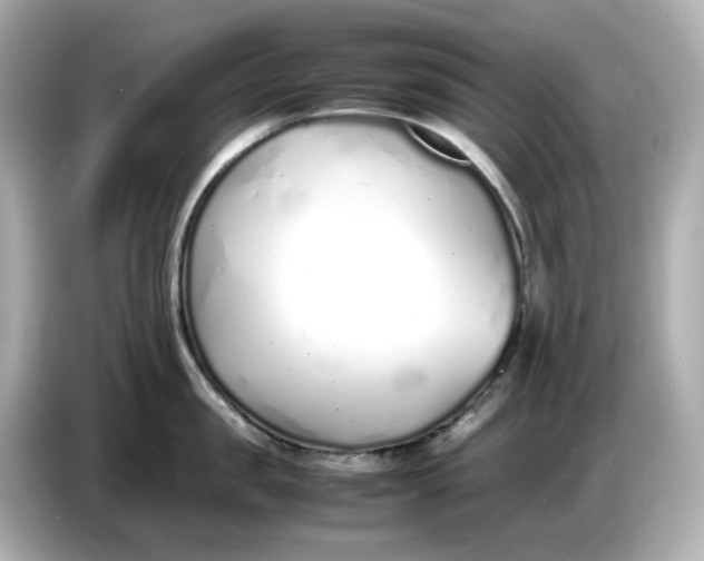 X0000086910957200704301034