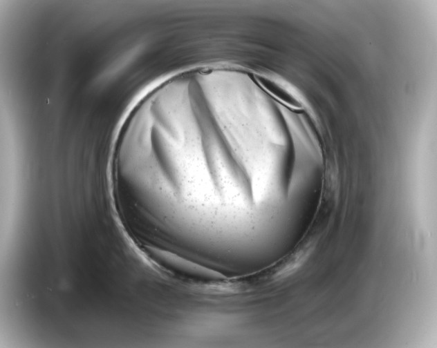 X0000086910959200704301034