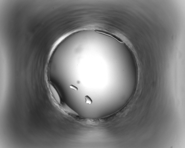 X0000086910960200704301034