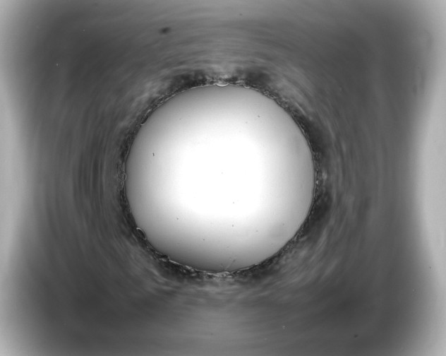 X0000086910961200704301034