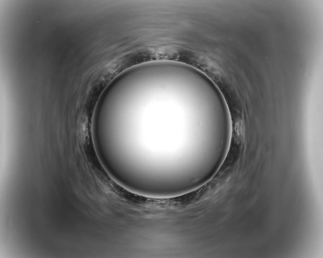 X0000086910963200704301034