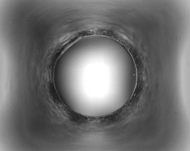 X0000086910965200704301034