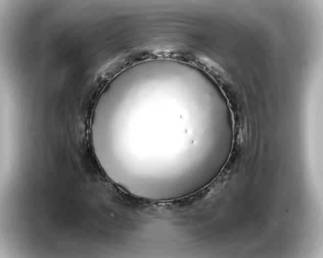 X0000086910966200704301034