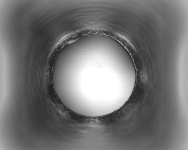 X0000086910968200704301034