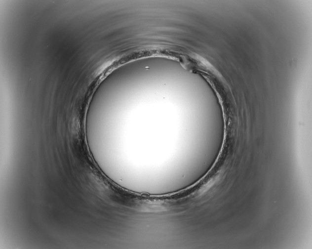 X0000086910969200704301034