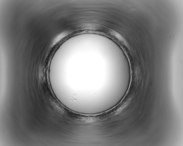 X0000086910970200704301034