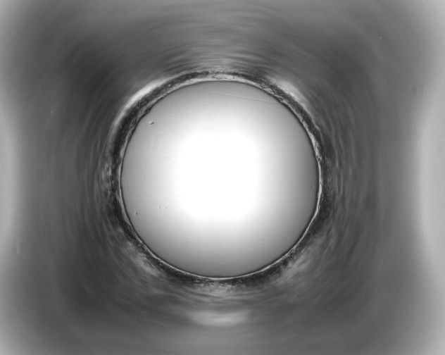 X0000086910971200704301034