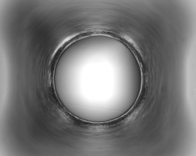 X0000086910973200704301034