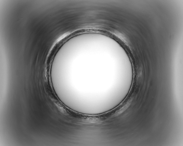 X0000086910974200704301034