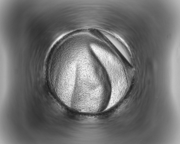 X0000086910975200704301034