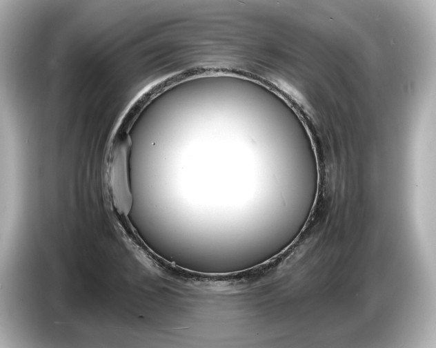 X0000086910976200704301034