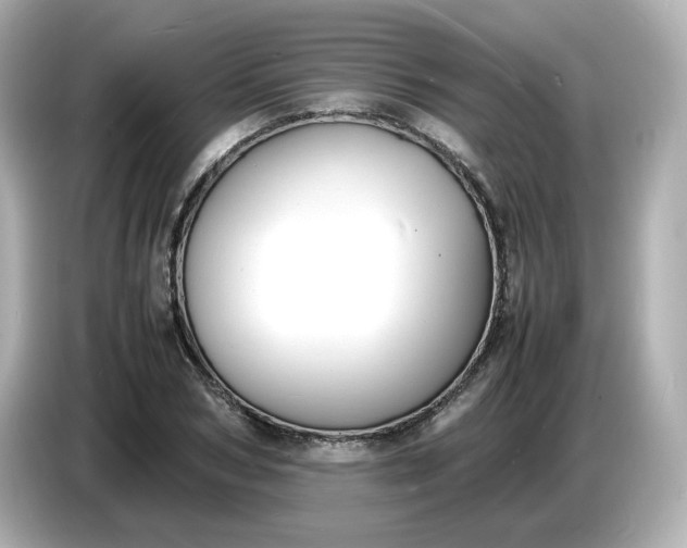 X0000086910978200704301034