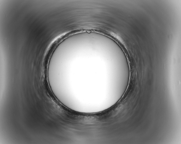 X0000086910979200704301034