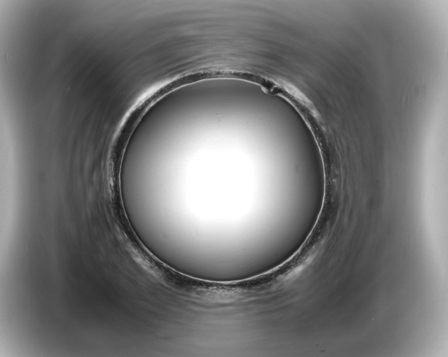 X0000086910981200704301034