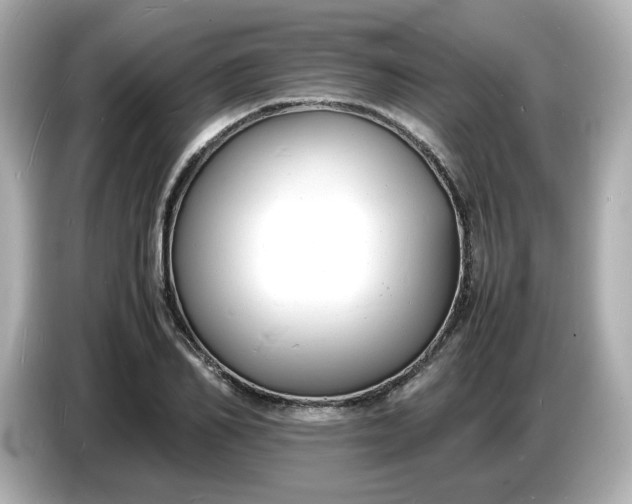 X0000086910982200704301034