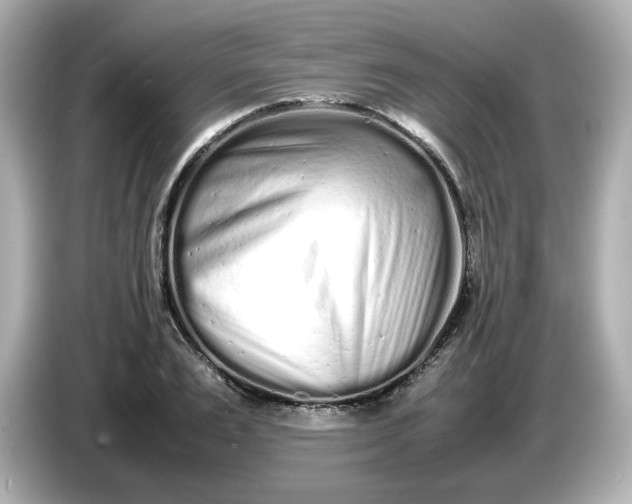 X0000086910983200704301034