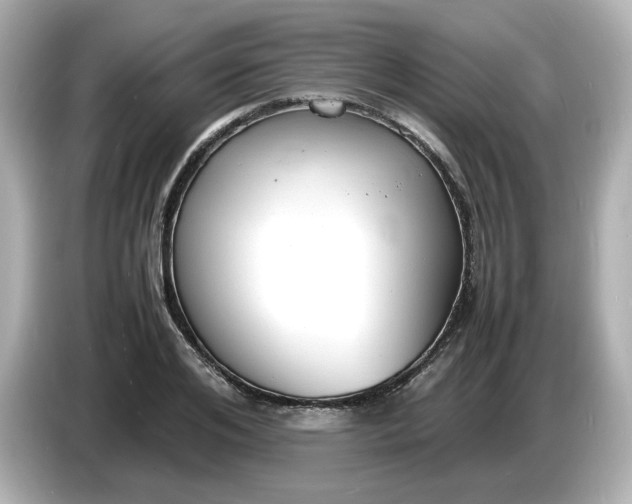 X0000086910984200704301034