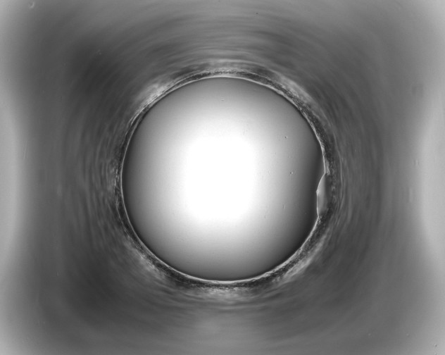 X0000086910985200704301034