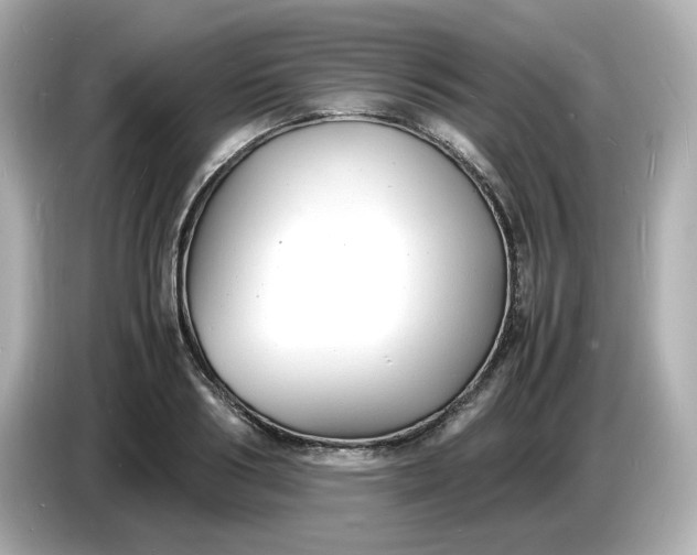 X0000086910986200704301034