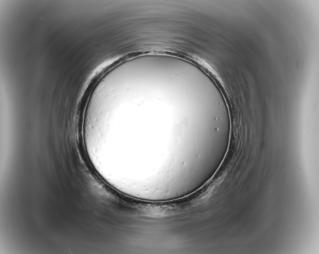 X0000086910987200704301034