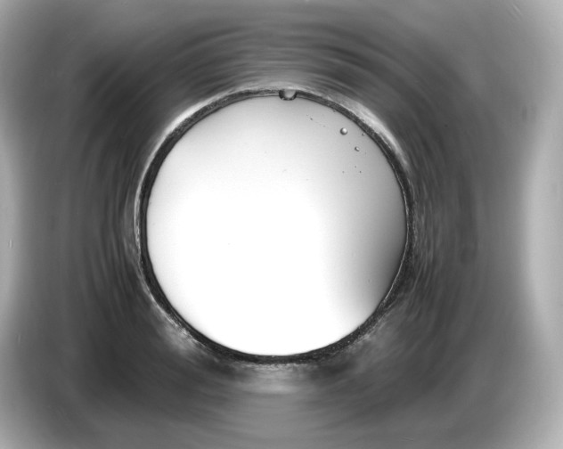 X0000086910988200704301034