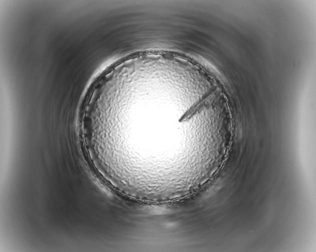 X0000086910990200704301033