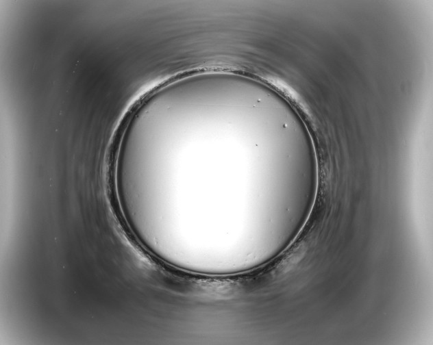 X0000086910991200704301033