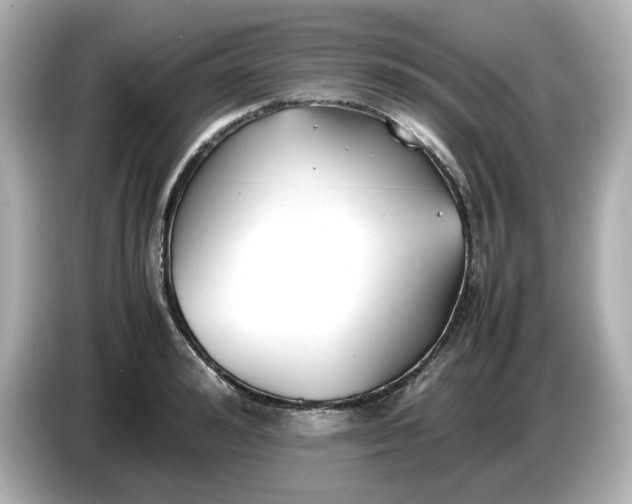 X0000086910992200704301033