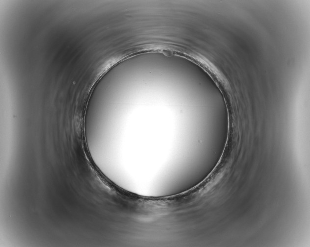 X0000086910993200704301033