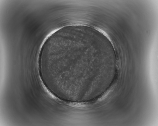 X0000086910995200704301033