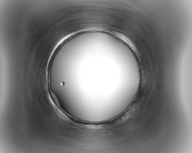 X0000086910996200704301033