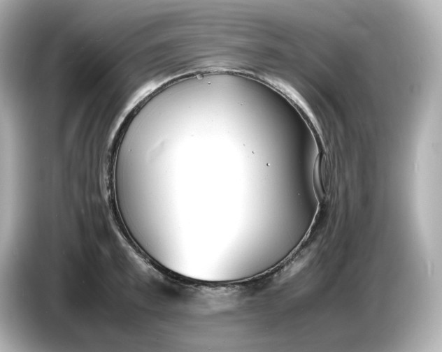 X0000086910997200704301033