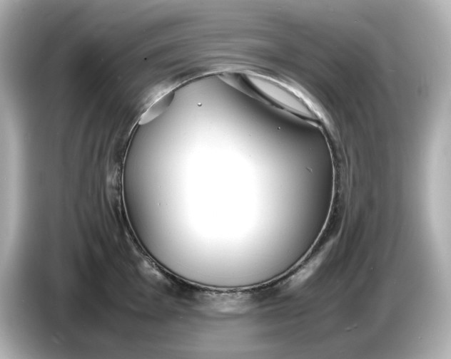 X0000086911001200704301033