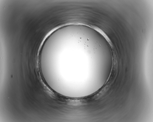 X0000086911004200704301033