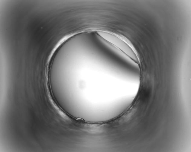 X0000086911005200704301033